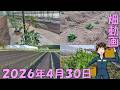 【26/4/30】今年のGWは雨が多くなりそうですね。