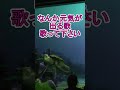 アンパンマンたいそうを歌いだすクラッシュ【タートルトーク】東京ディズニーシー