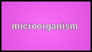 Microorganism Meaning