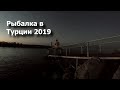 Рыбалка в Турции 2019