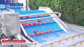 Industrial Tomato Bubble Washing And Drying Machine-How To Wash Tomato?