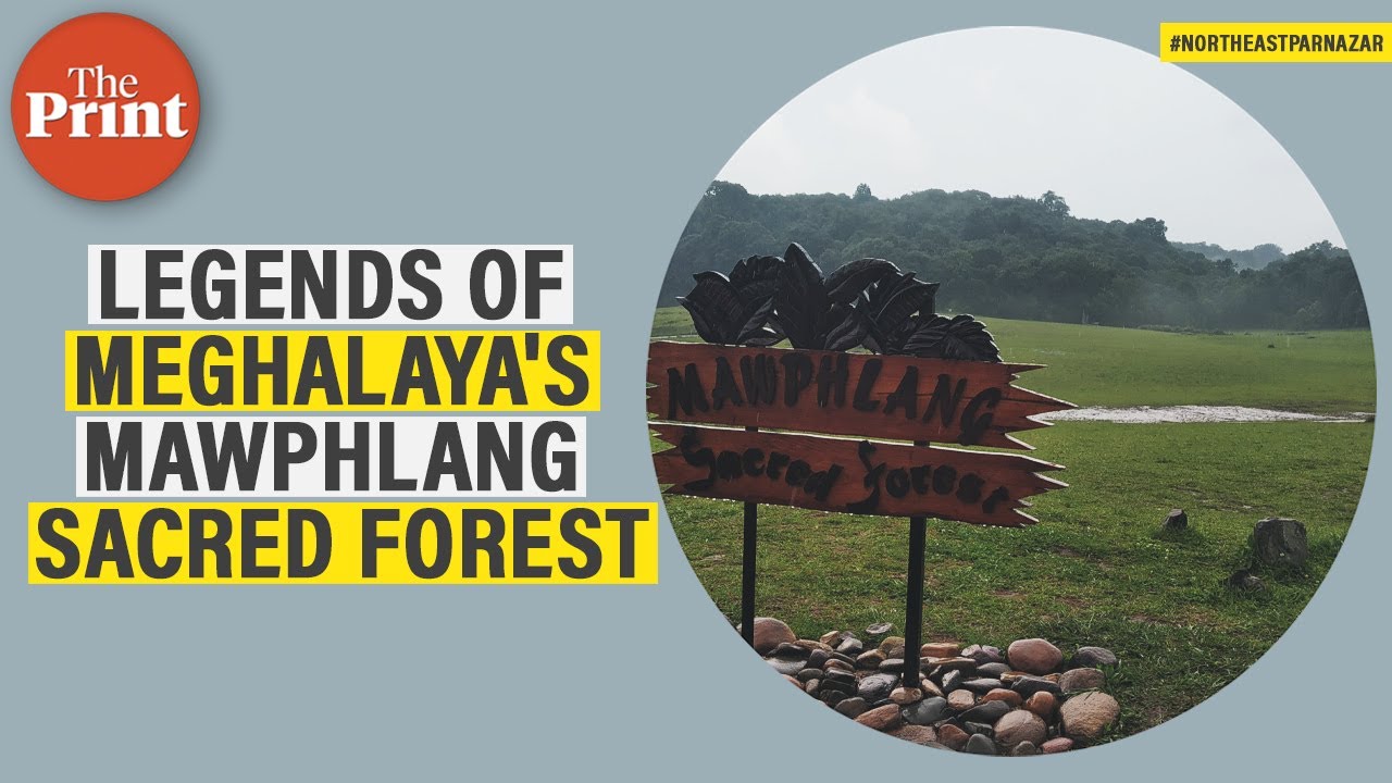 Mawphlang Sacred Groves: Unveiling the Secrets » Discover Northeast India