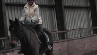 Flat-work lesson on Shane