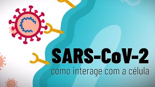 SARS-CoV-2 - como interage com a célula