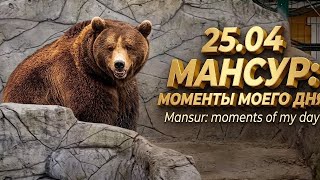МАНСУР:моменты моего дня🐻🫶Mansur:moments of my day