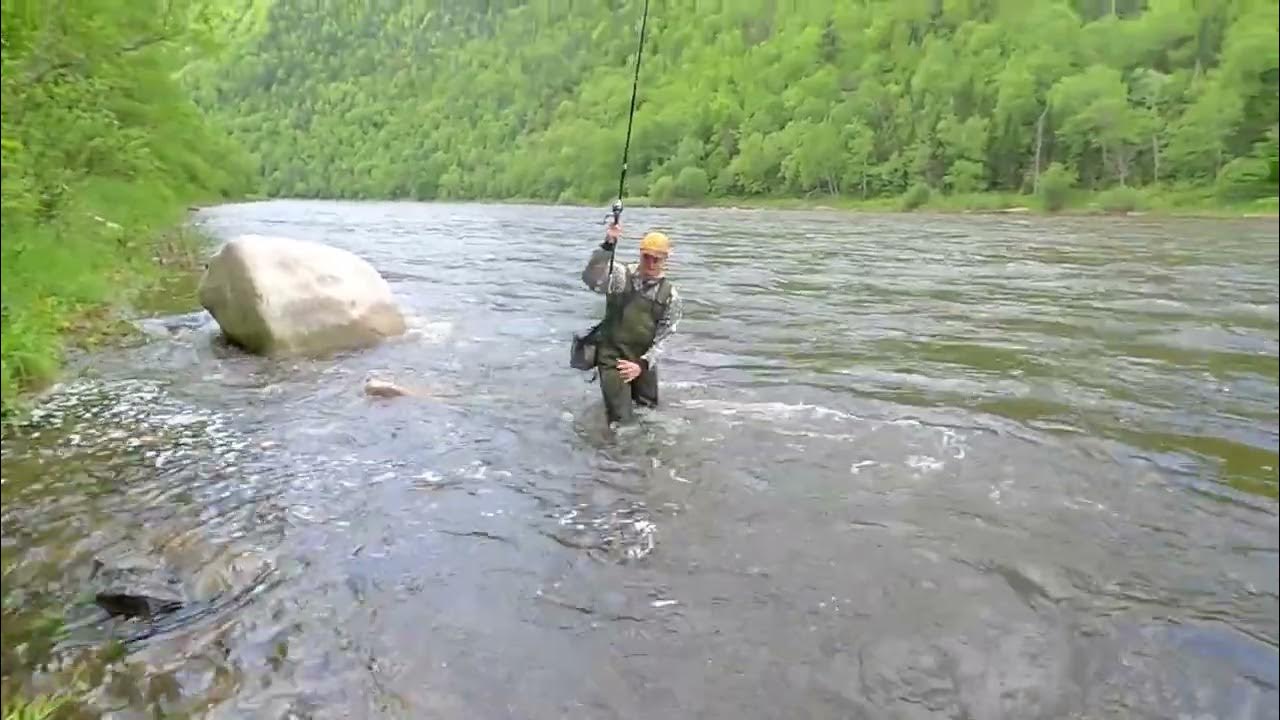 Хариус Анюй
