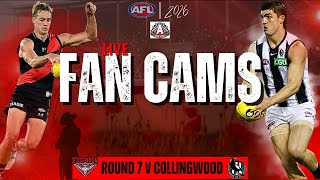 Essendon Fan Cams LIVE vs Collingwood FC | Round 7 Post-Game Reactions screenshot 3