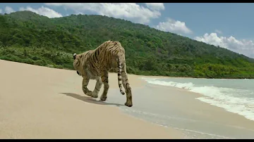 Life Of Pi (Sad Ending)