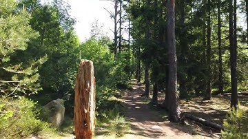 How to refactor code that has no tests?