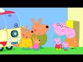 Kylie Kangourou | Peppa Pig Français Episodes Complets