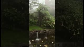 Arroyo de Totontepec Oaxaca, Agua 💦 natural # frío ☃️ Sierra Mixe, 2022