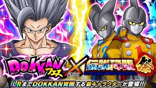 九週年Part2 追加450顆龍石 能抽到 Gamma 1 &amp; 2 嗎?  七龍珠爆裂激戰Dragon Ball Z Dokkan Battle