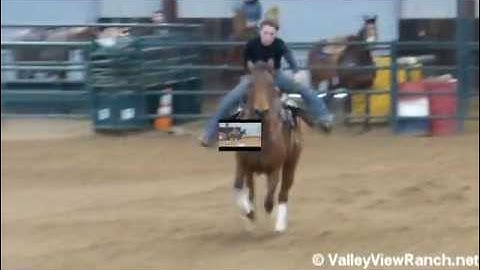 Lady Pawan - MeMe   ***For info, price, etc., go to our website*** Valley View Ranch