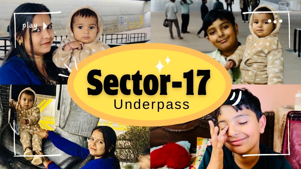 Day-19 | Sector 17 Underpass to Rose Garden 🌃 Late Night Fun Vlog | 30 Days Daily Vlogging Challenge