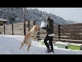 今年初の雪遊びは雪だるまに放尿されて運固を踏んでニンジンを食べられました