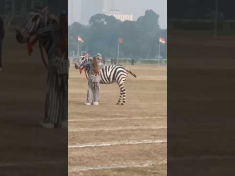 बंदर मामा की दोस्ती  Bandar mama Ne Kele khae #kidsvideo #kidsenternainment #shorts