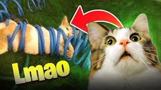 15 Min Daily Dose of Laughs:  Funny Cats | Try Not To Laugh TikTok Videos Compilation