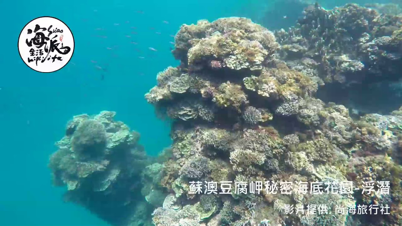 蘇澳海派生活 浮潛篇 Youtube