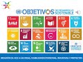 Programa SYNGENTA: The Good Growth Plan (ODS15). Comunica Bienestar. Ideacion.org