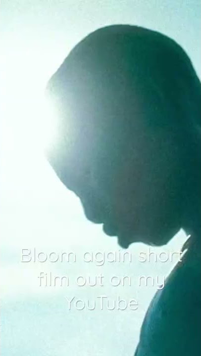 Bloom again out now