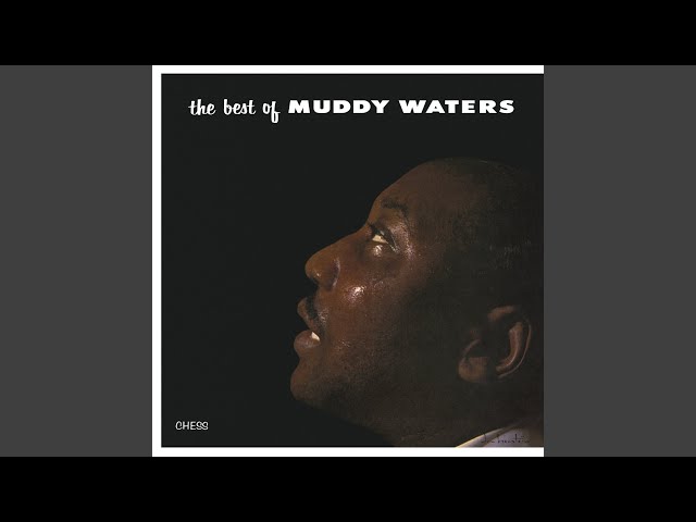 Muddy Waters - Mad Love (I Want You to Love M