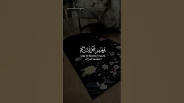 اللّٰه نور السموات والأرض - قارئ : سعد الغامدي -#Surah An-Nur Hal#اكسبلور#راحة_نفسية #لايك