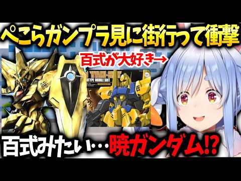 ぺこらすうちゃんのトモコレの話してたら連絡が来てしまう【兎田ぺこら/ホロライブ切り抜き】