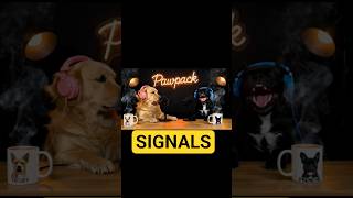 "🎙 EP 9 — Mixed Signals: When Humans Get Confused 🤯😂"