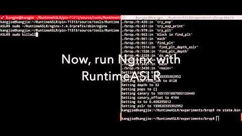 RuntimeASLR against BlindROP attack