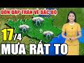 🔴[Trực Tiếp] Dự báo thời tiết hôm nay và ngày mai 17/4/2026 | dự báo thời tiết 3 ngày tới