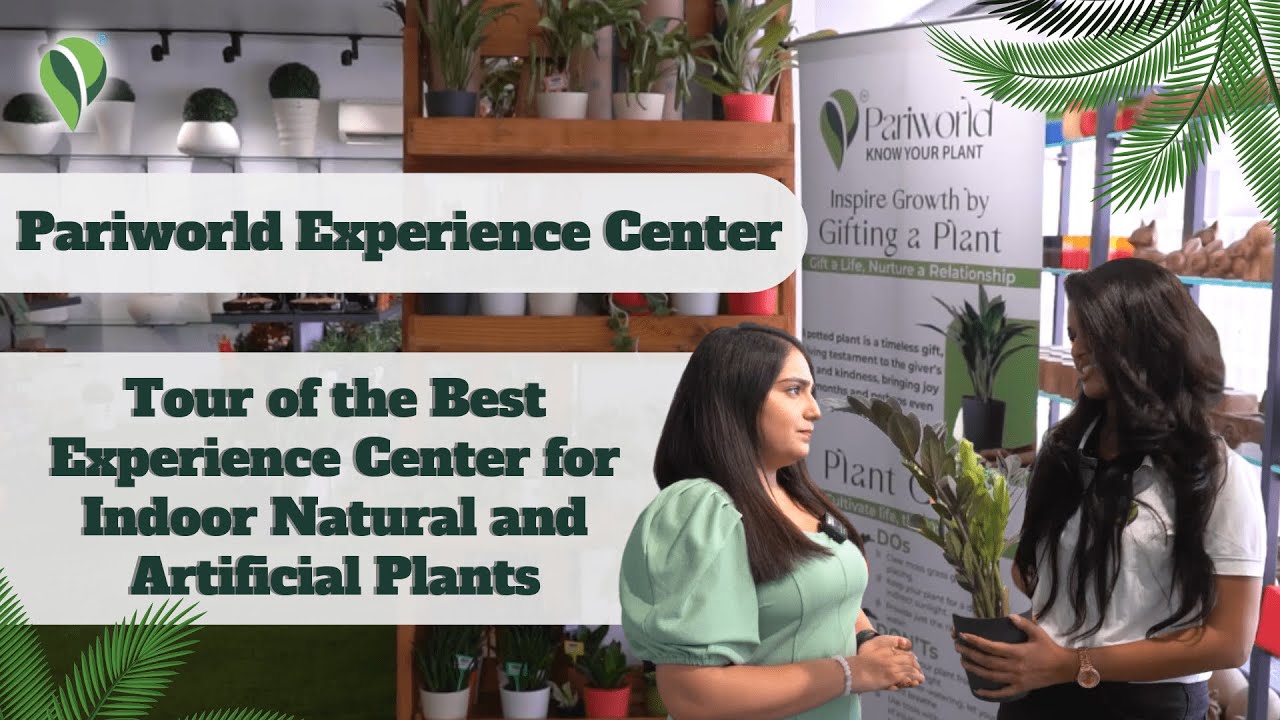 Tour of the Best Experience Center for Indoor Natural and Artificial Plants in Jaipur at Pariworld!