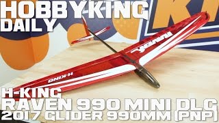 H-King Raven 990 Mini Dlg 2017 Glider 990Mm Pnp - Hobing Daily