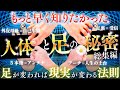 【総集編】老化の常識を超える！人体と足の秘密｜足が変われば現実が変わる【アーシングの衝撃｜ダヴィンチと足の秘密｜５本指がシンボルするもの｜足るを知る】