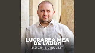 Lucrarea mea de lauda