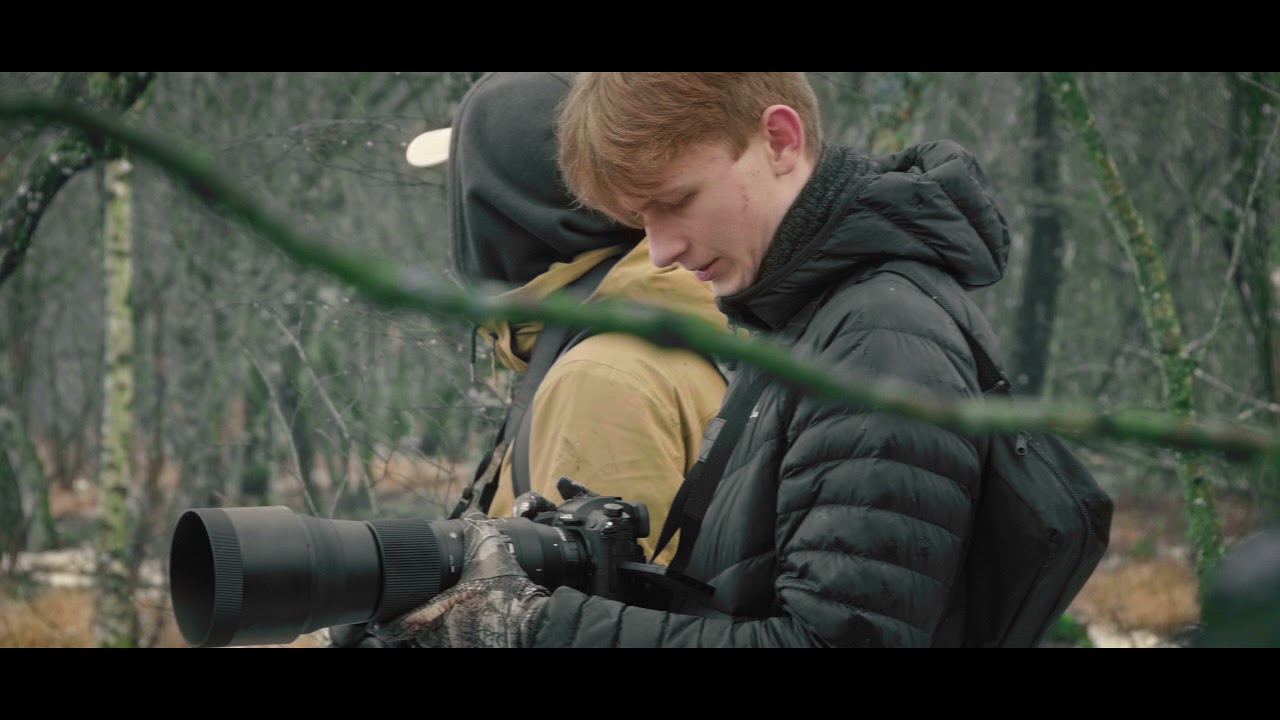 LILLE VILDMOSE | Cinematic Video #1