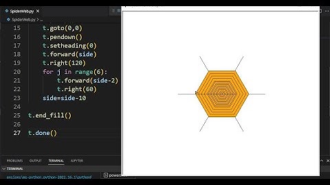 Draw Spider Web | full Python Code || Python Turtle