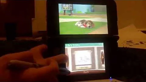 Nintendogs part 1 my dogs