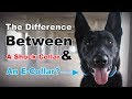 What is the Difference between a Shock Collar & E-Collar? The Truth About E Collar Dog Training (#9)