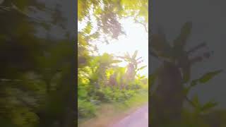 Download Lagu sura ikhlas #reels #shorts #viralvideo MP3