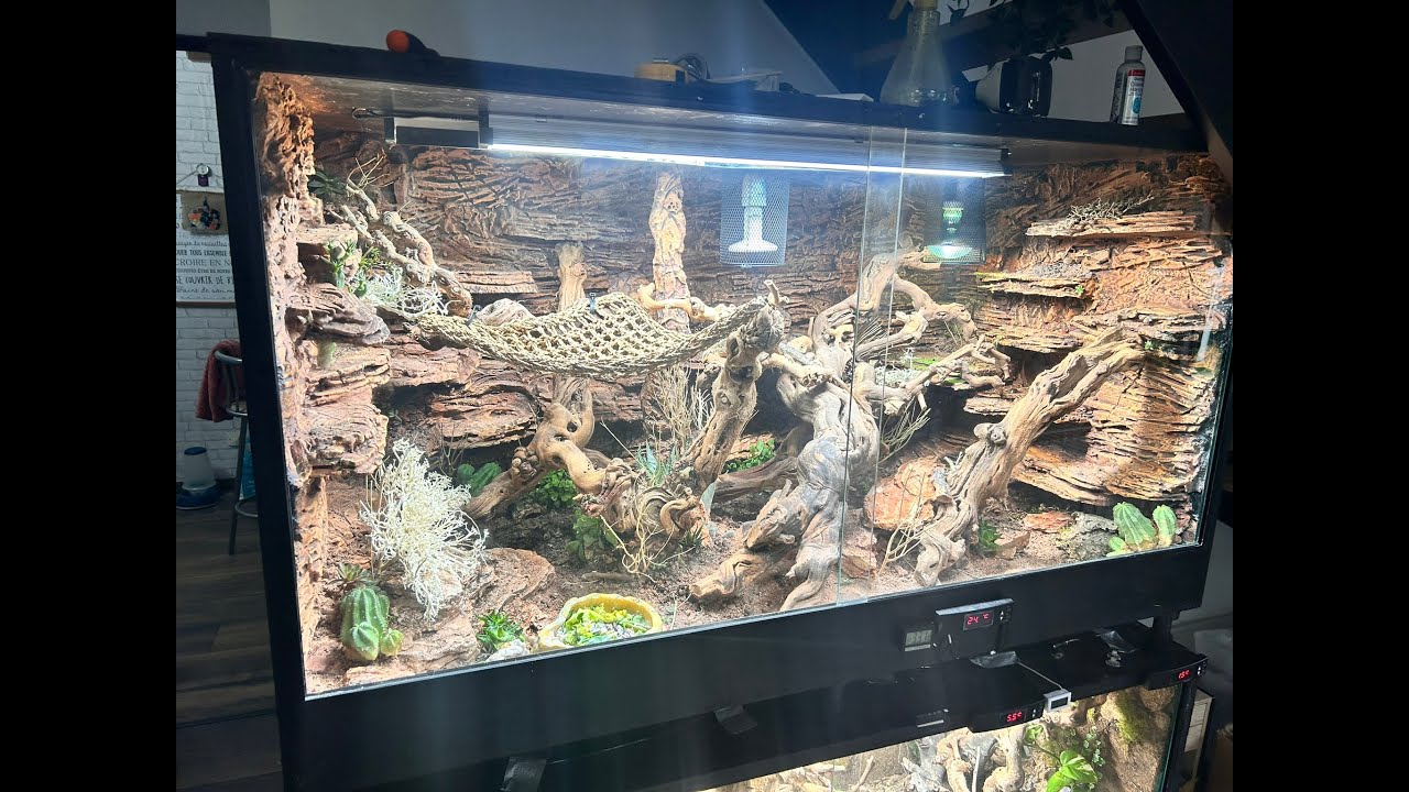 Terrarium Bio-Actif Aride pour POGONA (et équivalent)