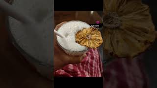 Through The Pages Of My Food Chronicles.