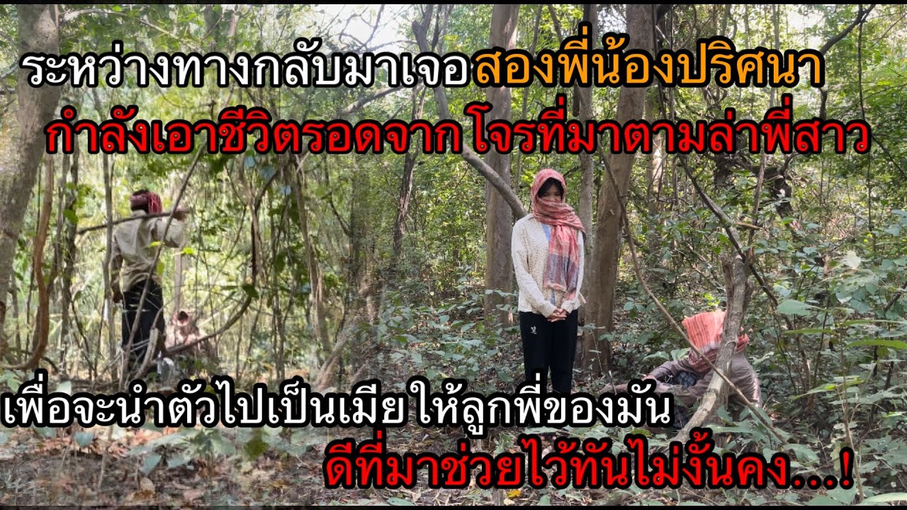 เข้าป่ามาเจอสองพี่น้องปริศนากำลังวิ่งหนีโจรอยู่ดีที่ช่วยไว้่ทันไม่งั้นคงไม่รอด ￼