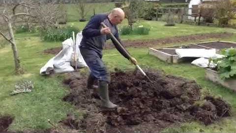 Planting potatoes in a Lazy Bed - Part 2