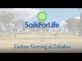 Carbon Farming at Colodan