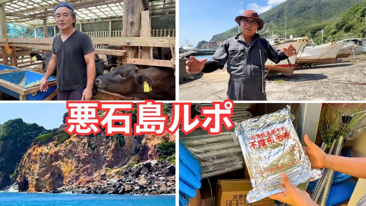 島外避難から約1か月の悪石島、現在の様子は…鹿児島県十島村 - YouTube