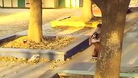 Tyler Bledsoe - Mind Field