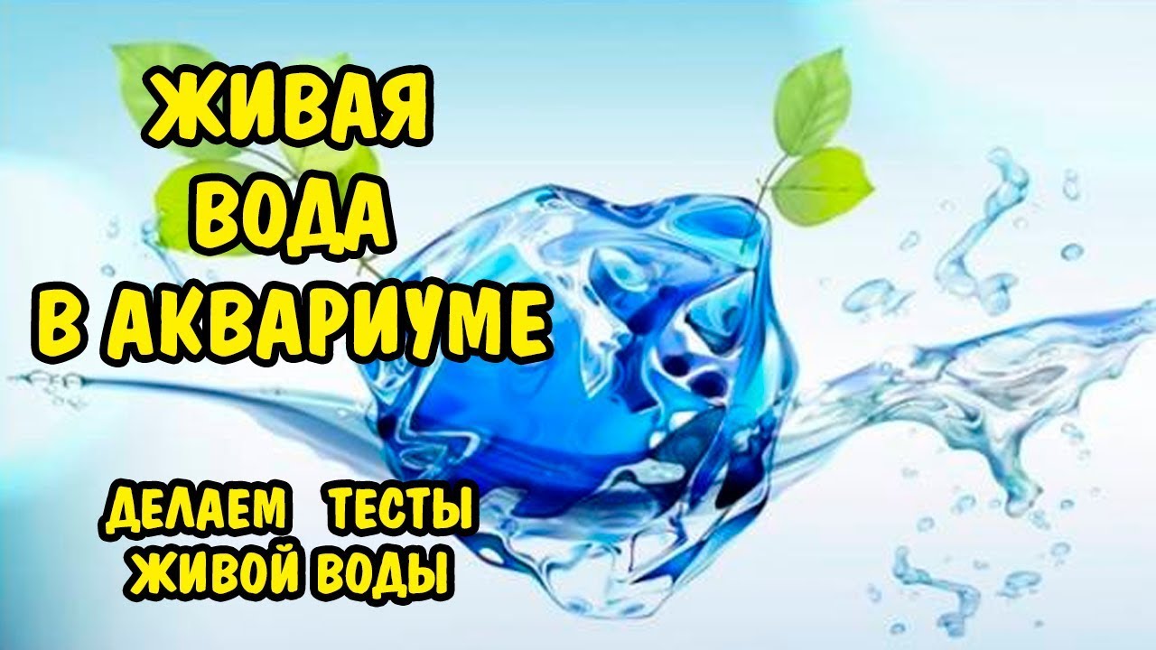 Живая вода аквариум