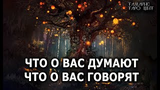 Что О Вас Думают. Что О Вас Говорят 🔥 Гадание 🔥 Расклад 🔥 Таро