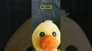 POV: you use an illegal algorithm