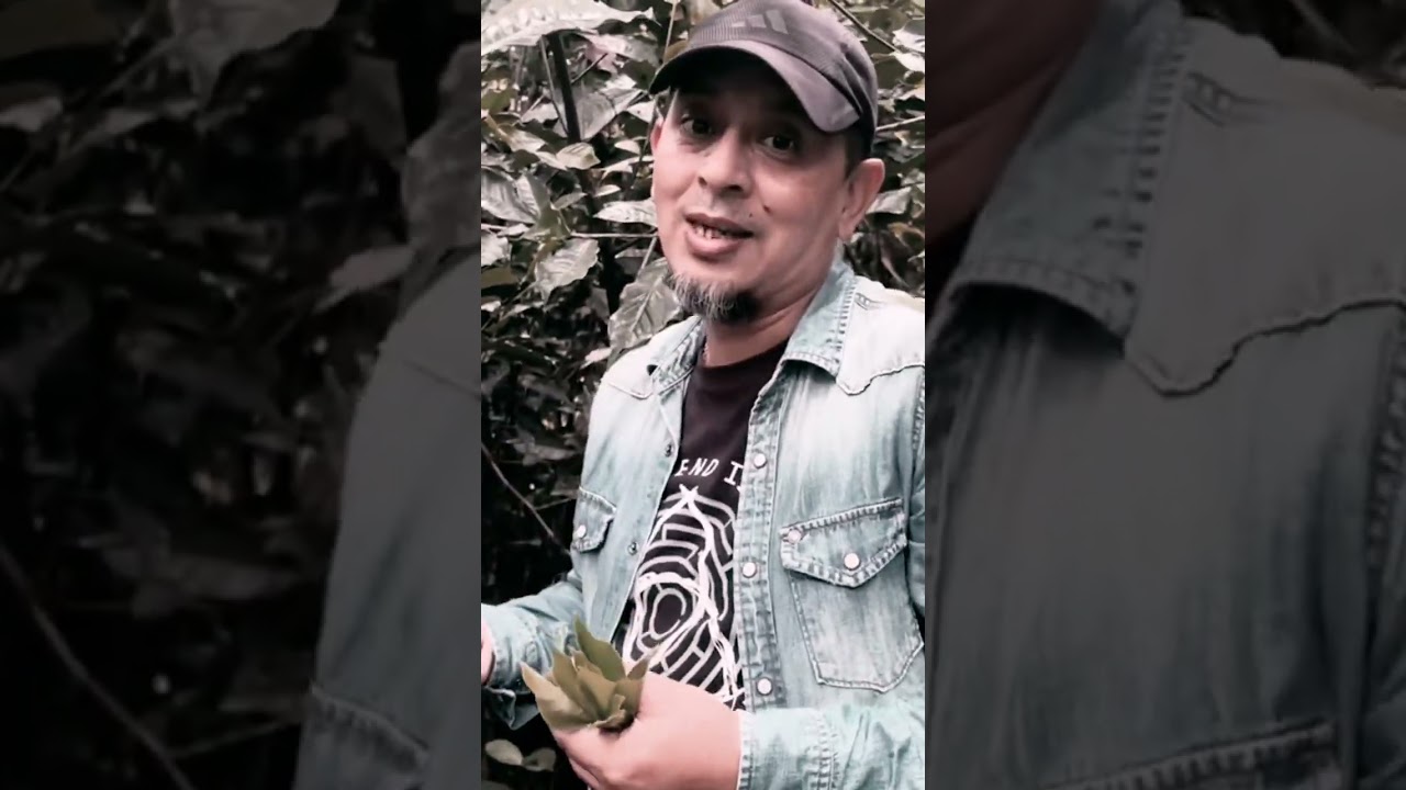 Plants must produce seeds to regenerate. 